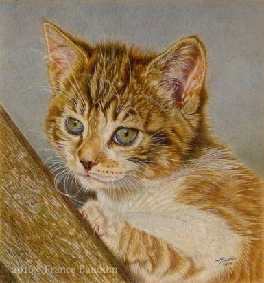Amber - 35 hours
Brown Pastelmat
11.5" x 12.5"
From Laila's 7th litter - 2015 Amber - 35 hours
Brown Pastelmat
11.5" x 12.5"
From Laila's 7th litter - 2015